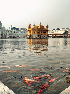 Amritsar-Punjab